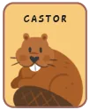 Animal card