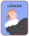 Animal card
