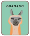 Animal card