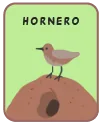 Animal card