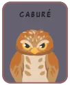 Animal card