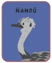 Animal card