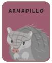 Animal card