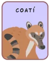 Animal card