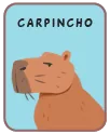 Animal card