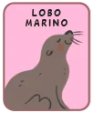 Animal card
