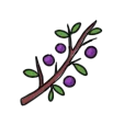 Item